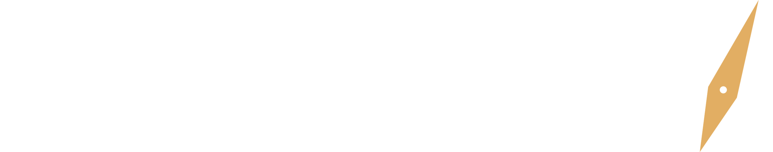 O Ponteiro